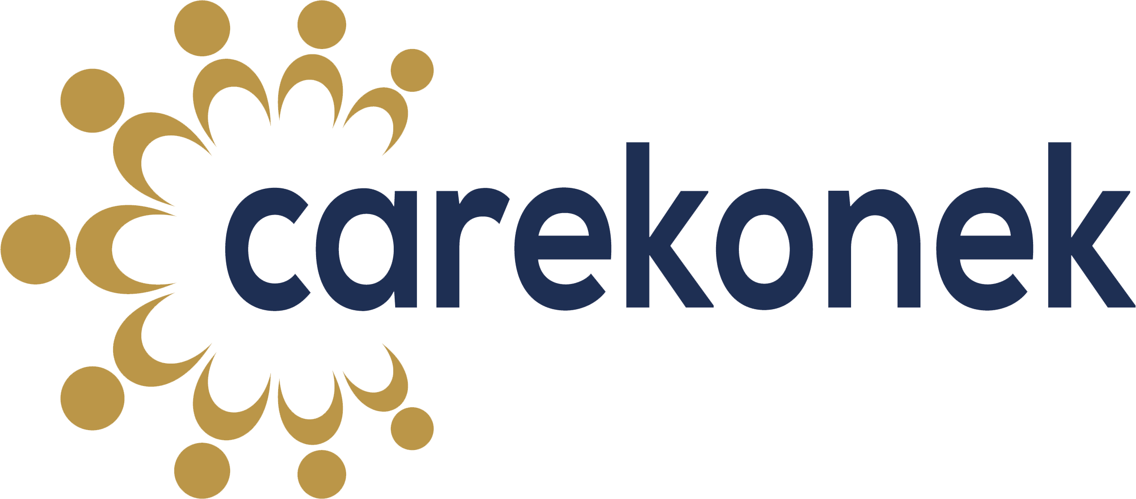 Carekonek Logo